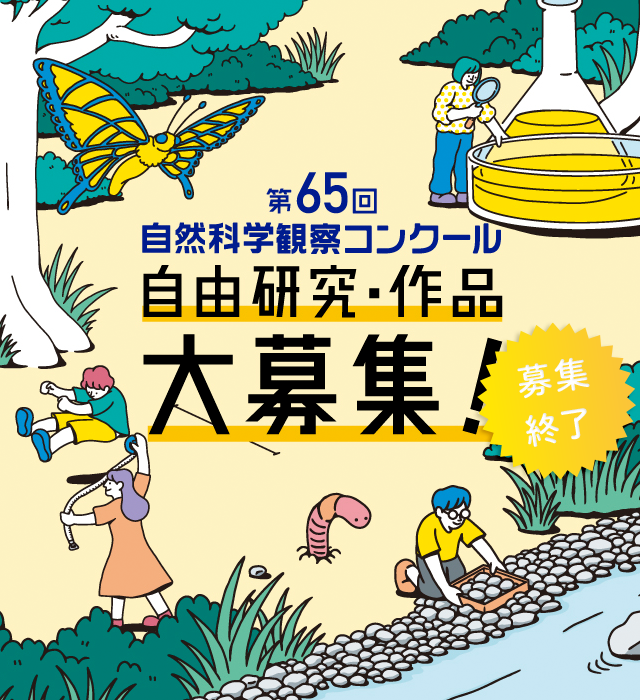 第65回自然科学観察コンクール 自由研究・作品　募集終了